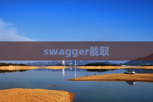 swagger截取